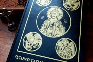 Ignatius Catholic study bible